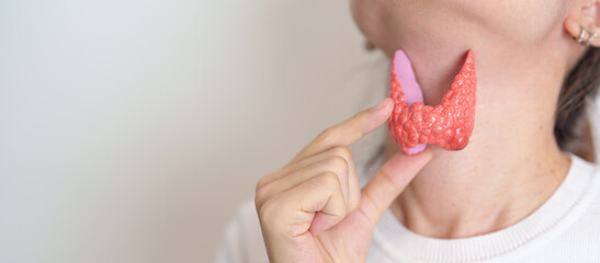 Woman holding human Thyroid anatomy model with her Neck. Hyperthyroidism, Hypothyroidism, Hashimoto...