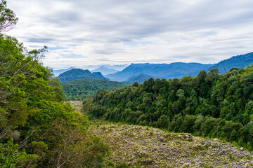 Parque Futangue, Región de Los Ríos, Chile.
