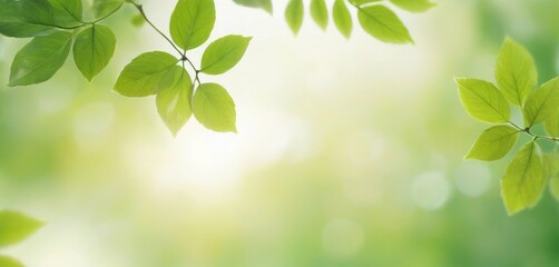 Highlight the lively hue of green with a leaf bokeh background, offering a dynamic and energetic visual appeal for any project.