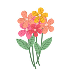 Spring flower illustration