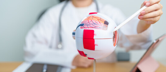 Doctor with human Eye anatomy model with magnifying glass. Eye disease, Refractive Errors, Age...