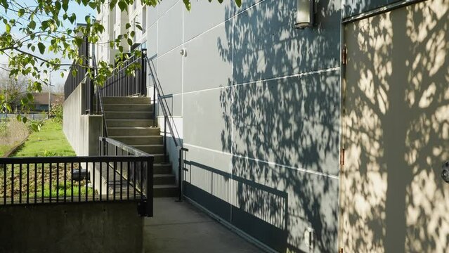 Shaded pathway and stairs beside a building with tree shadows
