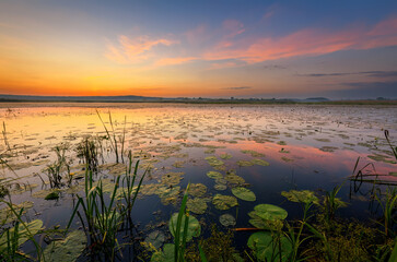 Beautiful summer sunset over the lake