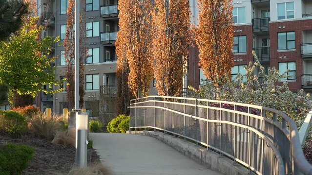 Urban Park Pathway with Autumn Trees and Modern Apartments