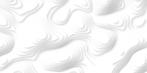 Abstract wavy line paper cut white background. Topographic geometric map relief texture with curved layers and shadow. Abstract realistic papercut. Vector art.