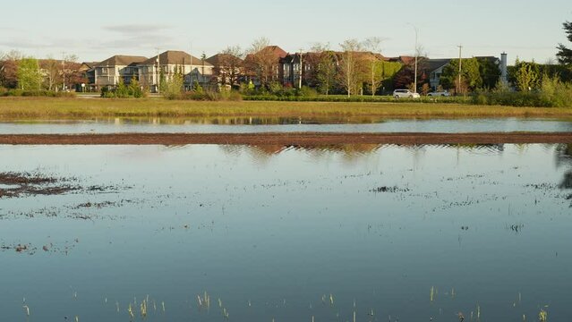 Suburban houses reflected in a calm water surface in a residential area