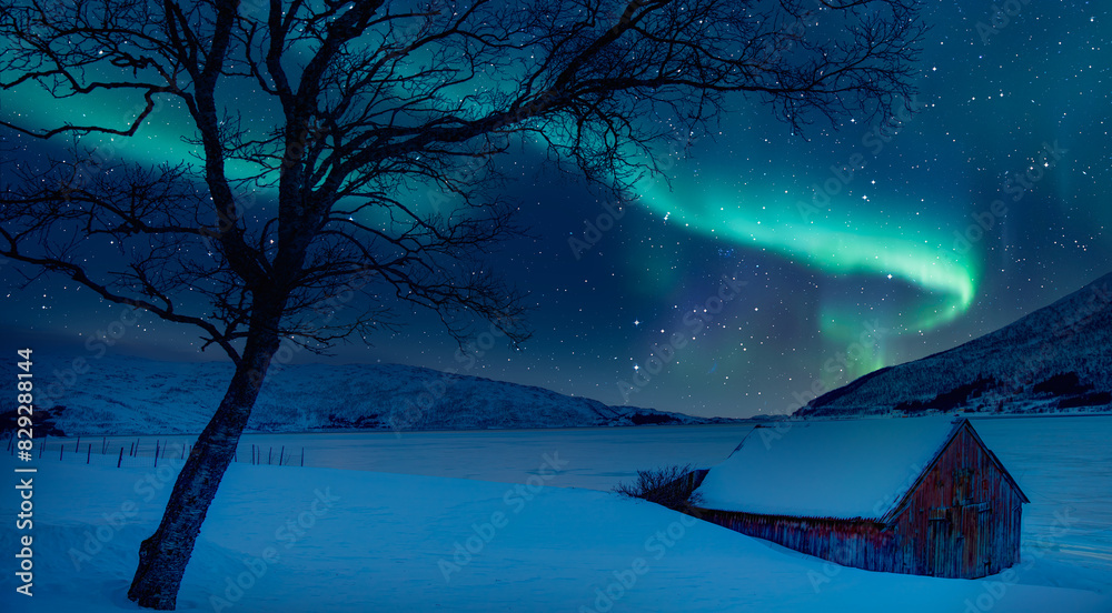 Wall mural Northern lights (Aurora borealis) in the sky over Tromso with typical Norwegian houses and dead tree - Tromso, Norway