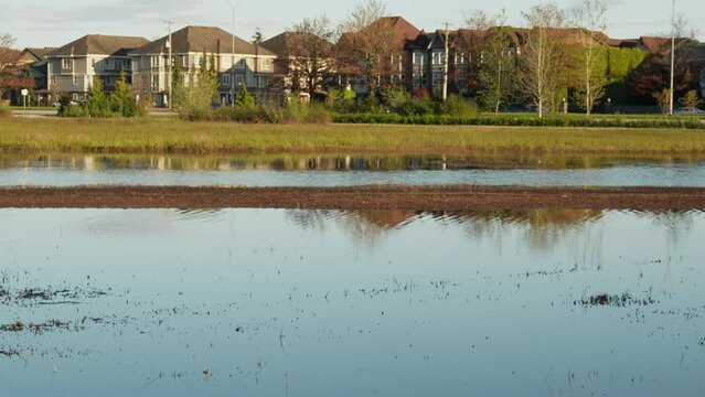 Scenic park wetlands with reflections of suburban houses on a clear day