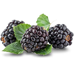 Blackberry Isolated on A Transparent Background.