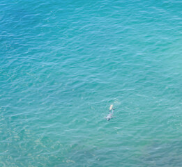 Naklejka premium View of the surface of the blue sea and the silhouette of an underwater swimmer in the distance