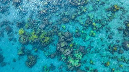 Top view. Summer sea water, blue surface. The water is clear with ripples and sparkles in the sunlight and you can see coral under the sea