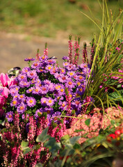 es ist herbst im garten