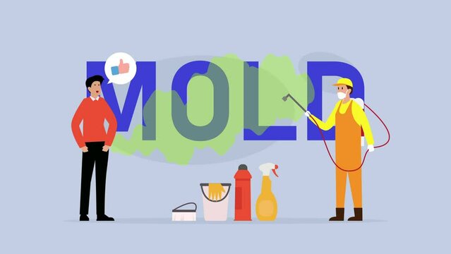 Removal of Black Fungus mold in Apartment and House cartoon animation