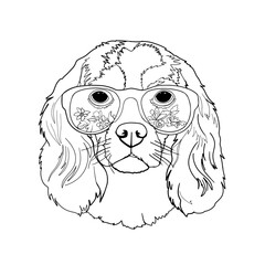 Cavalier King Charles Spaniel Dog. In sunglasses. Isolated on a white background. Vector