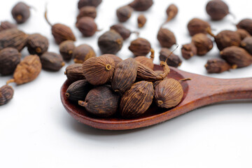 Black Cardamom or Greater Cardamom