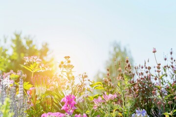 Fototapeta premium Sunrise in a Lush Garden Celebrating National Pollinator Month with Bees and Butterflies