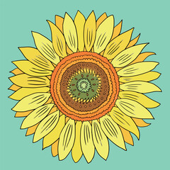 Sunflower front view simplified art illustration