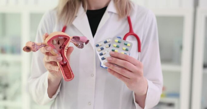 Model of the uterus and birth control pills
