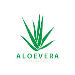 aloe vera logo cosmetic design simple green plant health symbol vector illustration
