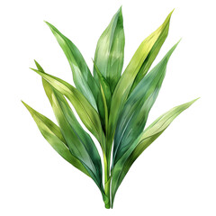Fototapeta premium Illustration of a vibrant green plant with elongated leaves, perfect for natural-themed designs and botanical artwork.