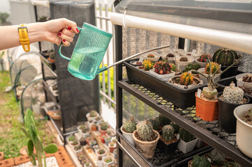 Cropped shot view of woman hands watering cactus. Water your cactus only when the soil is...