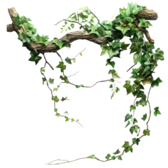 jungle vines isolated on transparent background © Imam Lutfi