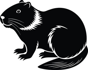 black and white beaver
