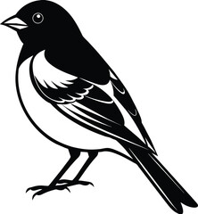 illustration of a bird