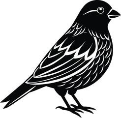 illustration of a bird