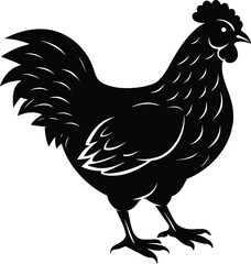 hen  vector silhouette