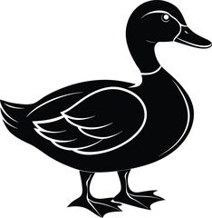 illustration of a duck
