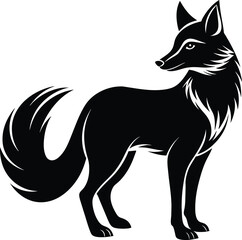 black and white fox