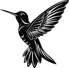 black and white hummingbird