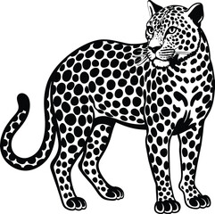 illustration of a leopard