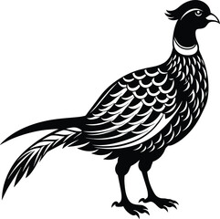 illustration of a chicken