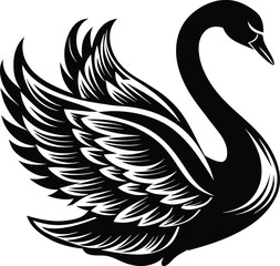 black swan vector © MstSumi