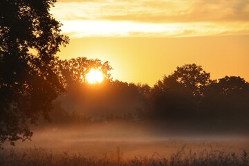 sunrise in the fields