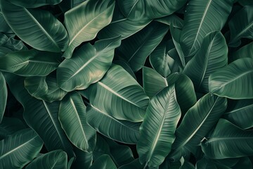 green leaves background