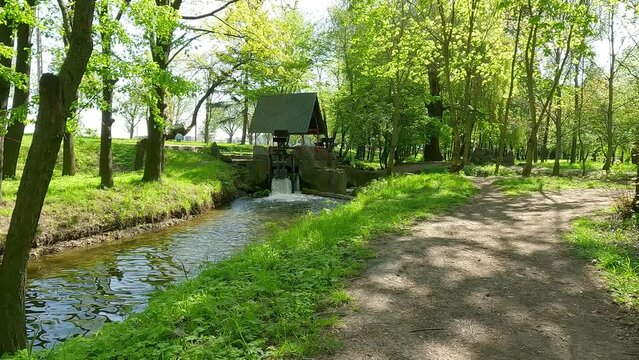 Empty alley among green willow trees on the shore of Seret river. Calm summer scene of Topilche Park with wooden mill, Ternopil, Ukraine, Europe. 4K video (Ultra High Definition).