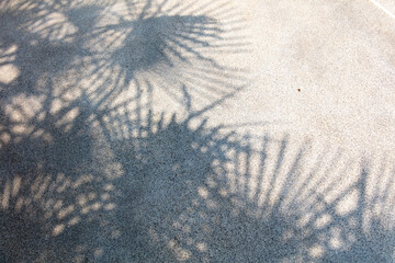 The shadow of a palm tree on the road as a background