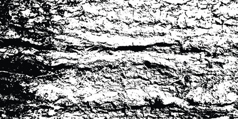 black and white grunge wood texture. eps 10 vector.