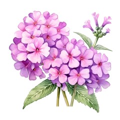 Vibrant Hydrangea Bouquet Watercolor