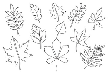 Set of autumn leaves, hand drawn, doodle style. Autumn leaves in line art style. Design for stickers, logo, website and mobile app.