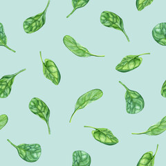 Watercolor repeat pattern, seamless pattern with leafy green flowering plant spinach. Hand drawn illustration for clip art menu label package