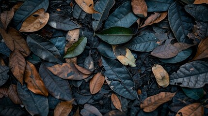  A pile of leaves on the ground with a green leaf in the center and another green leaf situated amongst them