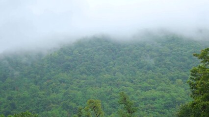 Clouds moving above the hills at Saputara hill station in Gujarat, India. Clouds move above the lush green Sahyadri hills during the monsoon season. Clouds above mountains in rainy season.
