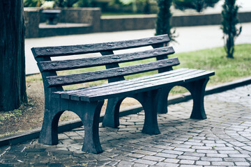 An empty dark wooden bench without people in a public park, with trees and a sidewalk in the background. With space to copy. High quality photo