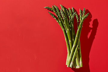 perfect asparagus isolated on red background 