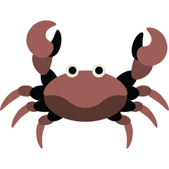 Crab Illustration