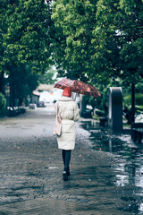 A young woman walks with her back to the camera with an umbrella. A walk through the rainy city....